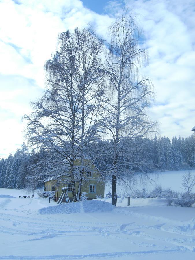 Ferienhaus Wohleser Мариахоф Экстерьер фото