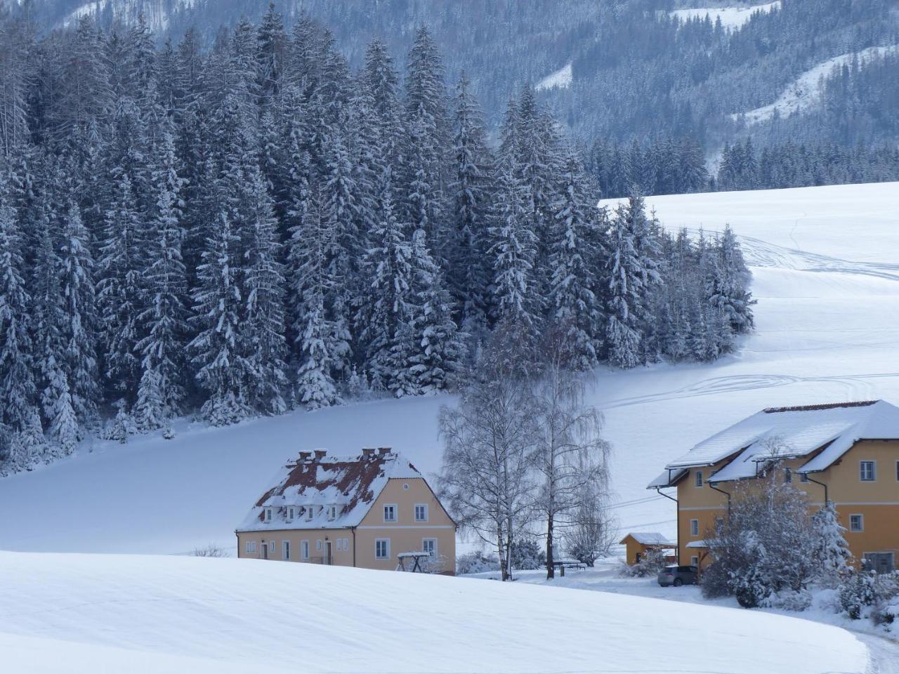 Ferienhaus Wohleser Мариахоф Экстерьер фото