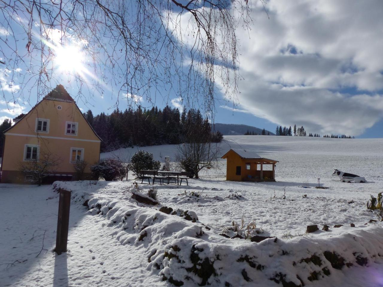 Ferienhaus Wohleser Мариахоф Экстерьер фото