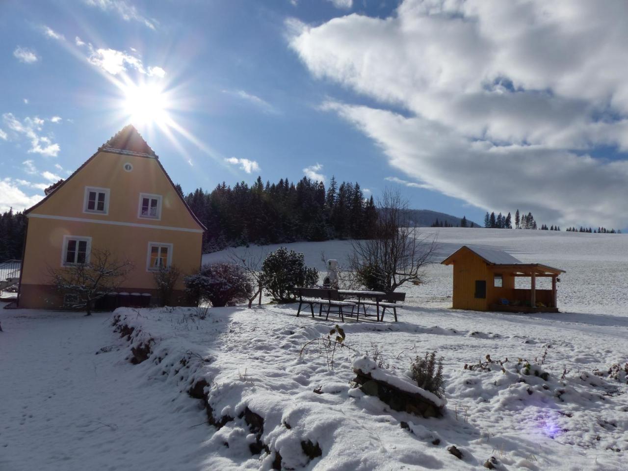 Ferienhaus Wohleser Мариахоф Экстерьер фото