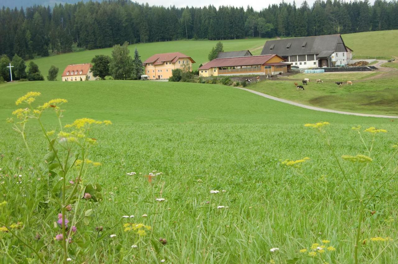 Ferienhaus Wohleser Мариахоф Экстерьер фото